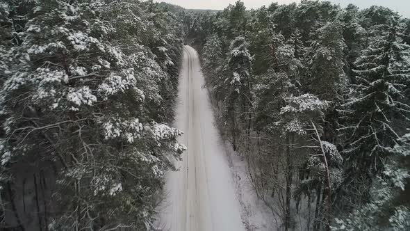 Aerial View of Car Moving in Winter Forest