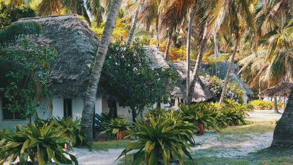 Tropical Beach Hotel with Thatched Roofs in Palm Groves By Ocean Zanzibar Paje alt
