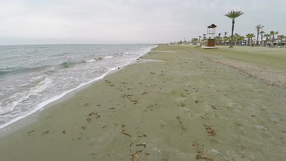Aerial Drone Shot  Along Polluted Beach with Seaweeds, Low Season, Cyprus alt