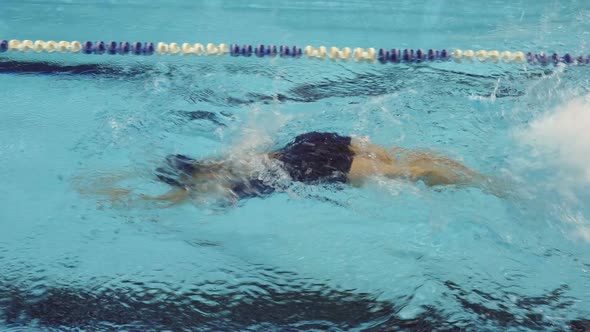 Woman Swimmer Practicing Butterfly Stroke During Training In Swimming Pool