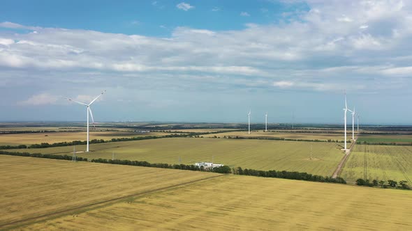 Windmills Generate Electricity in a Fields
