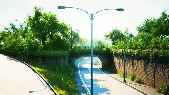 Arch Bridge with Living Bush Branches in Park alt
