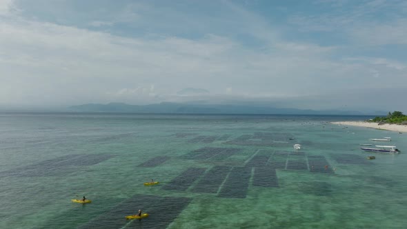 Seaweed farm submerged under shallow tropical water near shore of island, aerial alt