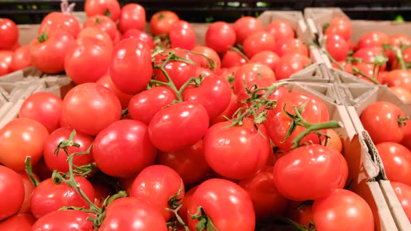 Beautiful red tomatoes in the supermarket are on sale, natural products, alt
