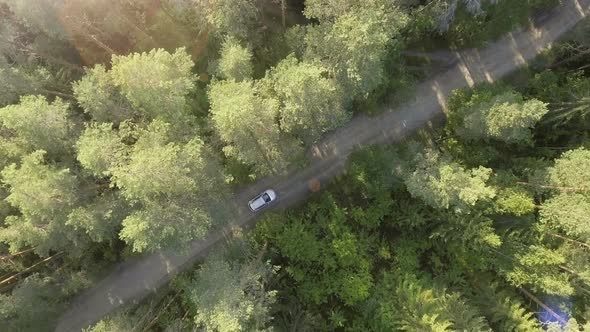 Aerial View of the White Car on Road in the Forest alt