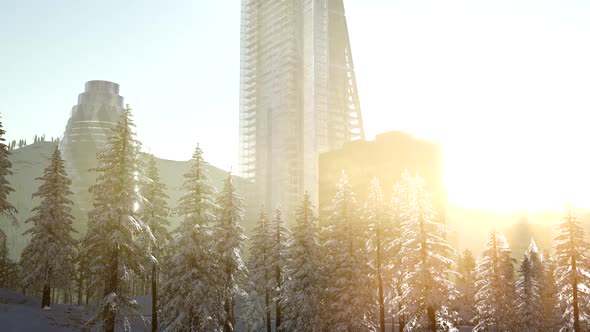 City and Forest in Snow alt