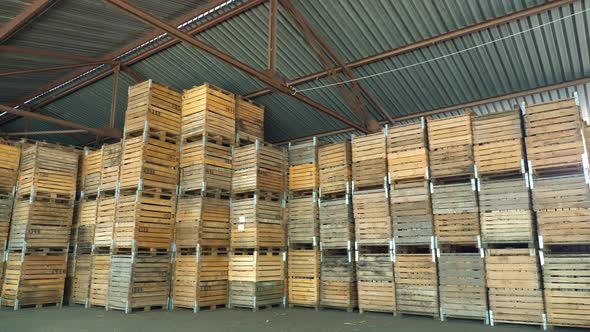 Apple Storage. Warehouse. Stacks of Wooden Crates for Fruit, Boxes with Apples at Storage Warehouse alt