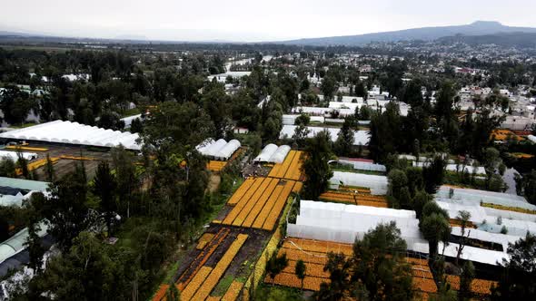 Drone view of massive plantations in Xochimilco lake in mexico city alt