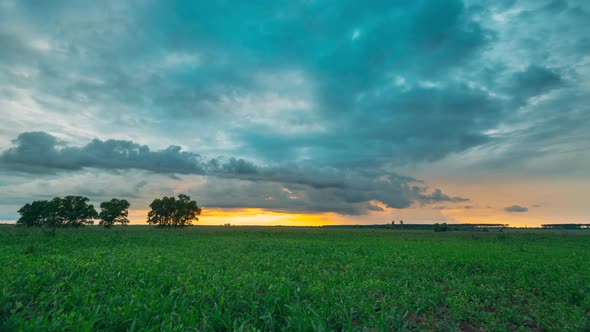 Rain Rainy Clouds Above Countryside Rural Field Landscape With Young Green Wheat Sprouts In Summer alt