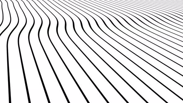 Curved lines in dynamic wave motion. Modern Minimal lines abstract motion design.