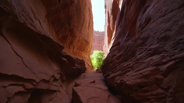 Looking up through slot canyon in the desert alt