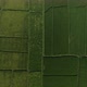 Aerial top down view of lush rice fields in Bali Indonesia - VideoHive Item for Sale