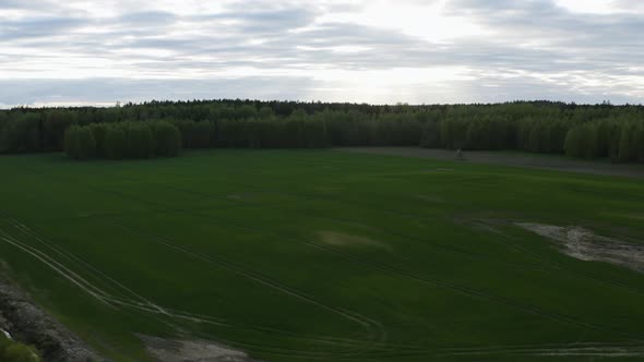 Latvia Fields In Spring with forest