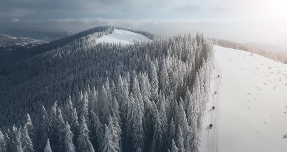 Aerial View of People Tourist Ski on Snowy White Hill on Winter Holidays in Bukovel Ukraine