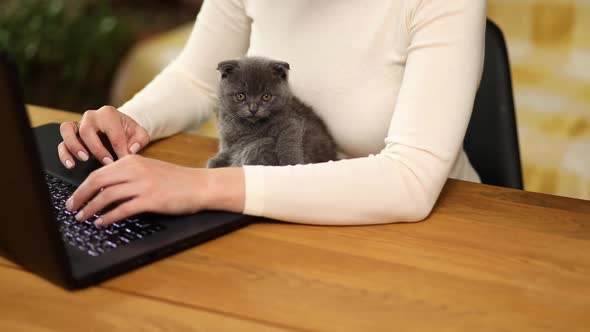 Woman Wear Comfy Style is Working on a Black Notebook Laptop and Kitten is Laying on the Table