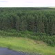 Flight Over the Taiga Forest Lake - VideoHive Item for Sale