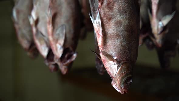 Dried Fish Fish Processing Equipment alt