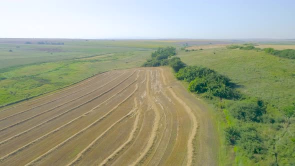  Aerial view of fields