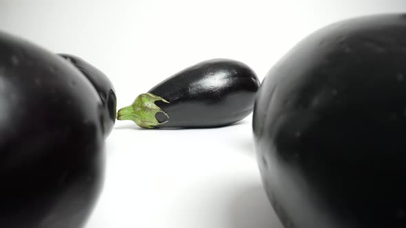 Eggplants 59 alt