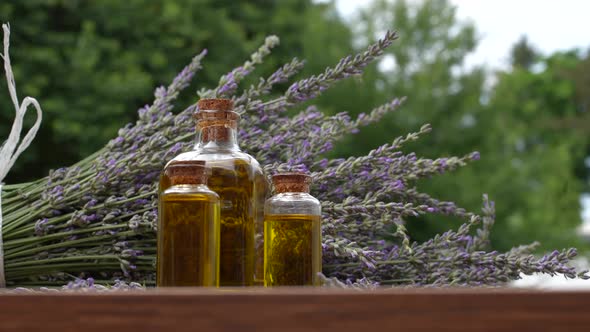 Lavender and Lavender Oil 02 alt