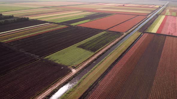 Aerial View of Colorful Farm Fields