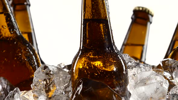 Dark Bottles of Beer Are in a Container with Ice Pieces. White Background. Close Up alt