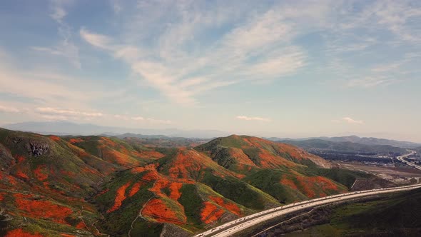 Aerial high level shot of the super bloom of golden poppies by Lake Elsinore California and Walker C alt