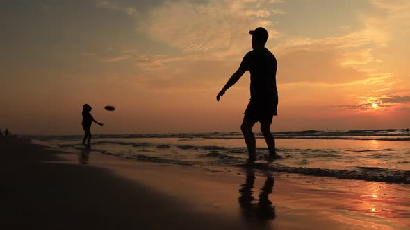 Silhouette People Playing with Frisbee on the Beach Backlit By Summer Sun