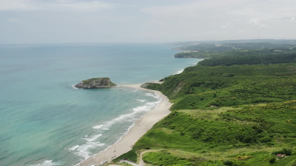 Vast Sea Beach And Forest Aerial View
