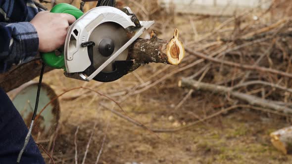 Worker Hands with Electric Circular Saw Cuts Part From Apple Tree Trunk alt