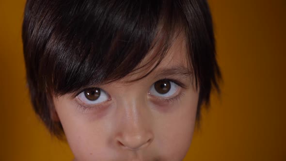 Portrait of a Child Boy on a Yellow Background Looks at Viewer alt