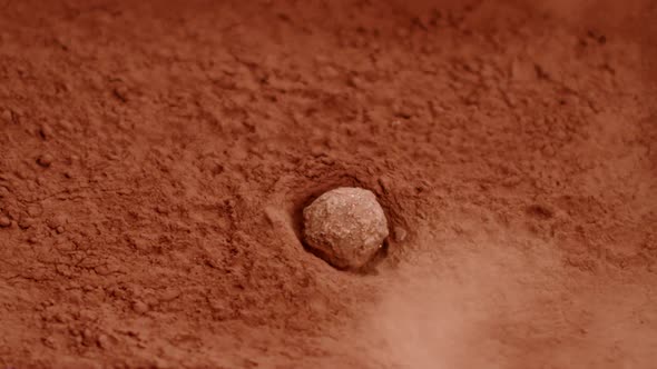 Delicious Truffle Candy Falling Into Powdered Chocolate Making Splash, Slow Mo