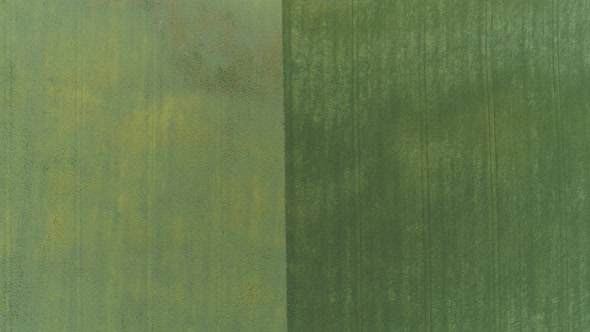 Aerial view of green fields alt