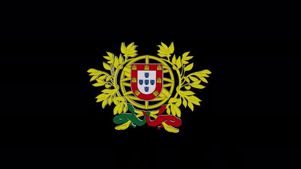 Coat Of Arms Of Portugal With Alpha Channel  4K alt