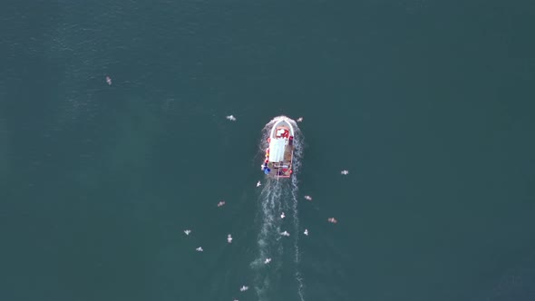 A Small Fishing Boat Being Flocked By Seagulls alt