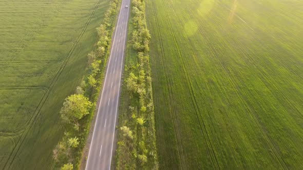 Aerial Shot of a Straight Road Running Among Green Fields in Summer in Slo-mo  