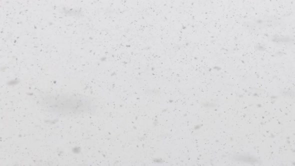 Falling Snow Gently Falls and Swirls alt
