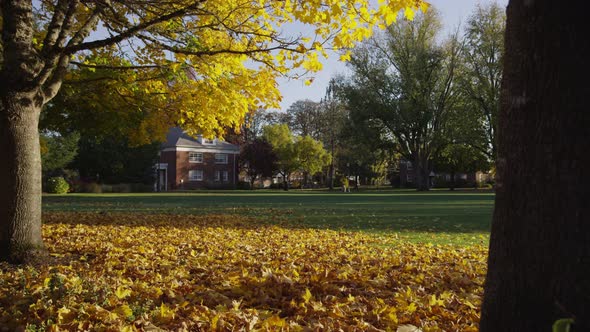 College student walking on campus