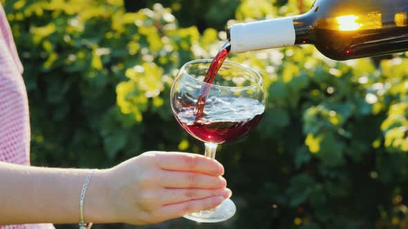 Pouring Red Wine in an Elegant Glass on the Background of the Vineyard. Wine Tour alt