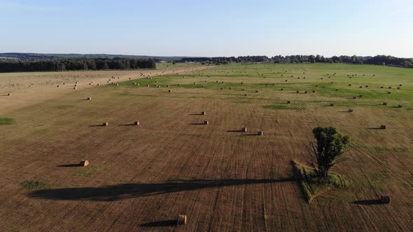 7 Field With Hay Rolls