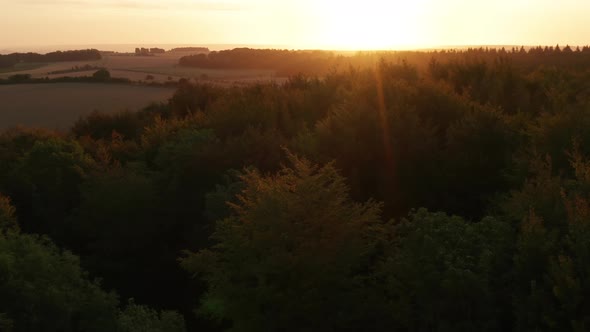 Orbiting around a forest at sunrise