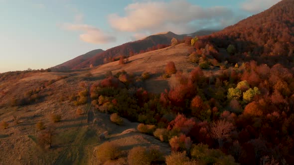 Drone Flying Over Golden Autumn Forest at Sunrise