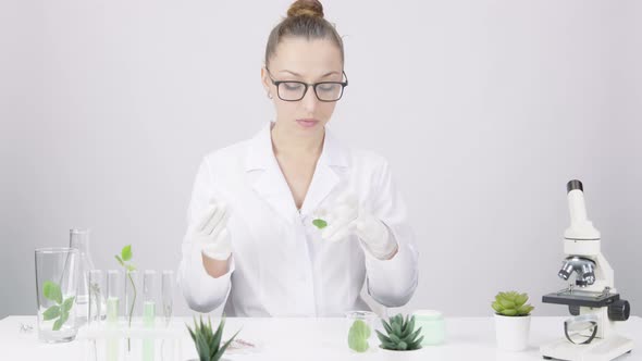 Female Biochemical Researcher Drips Liquid Reagent on Leaf of GMO Plant in Lab