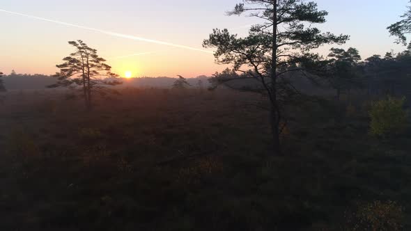 Flying Over Foggy Swamp Landscape at Sunrise