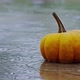 Pumpkin - VideoHive Item for Sale