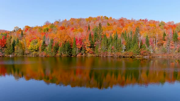 4K camera drone captures stunning autumn foliage colors and a view of a lake while descending.