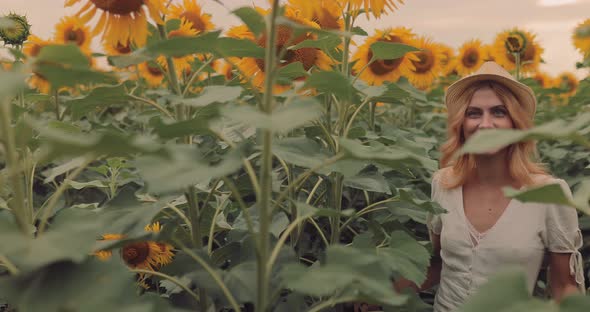 Beautiful Girl is Walking on a Sunflower Field