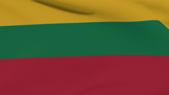 Flag Lithuania Patriotism National Freedom Seamless Loop alt