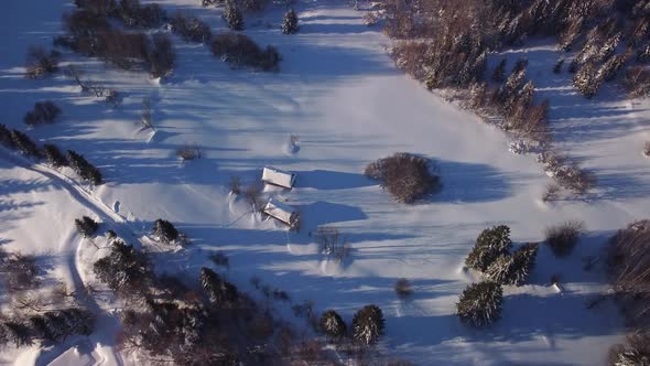 Aerial View of the Winter Snowy Landscape with Meadows and Trees and Cottages alt