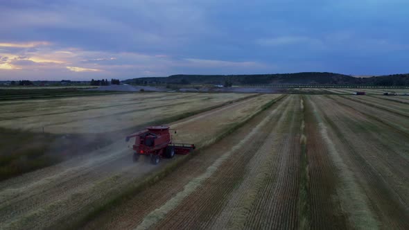 Wheat Fields